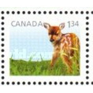 Canada   2013  1.34 Dollar