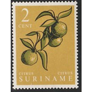 1961                   2 cents