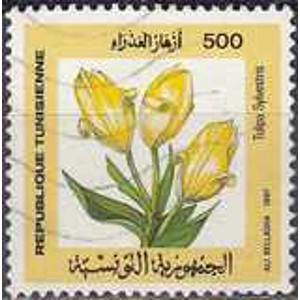 Tunisia 1987 500 millim