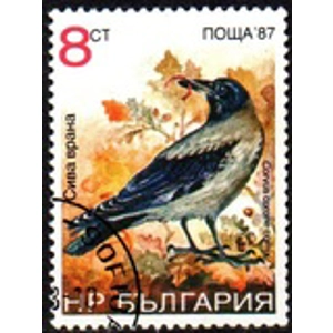 1988      8 ct  used