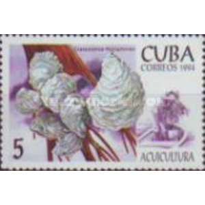 1994  Cuba  5 cent.  used