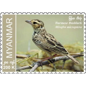 2023 Myanmar 200 k used