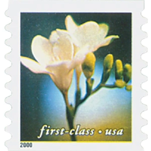 United States  2001 Lilly