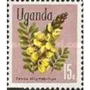 1969               15 C