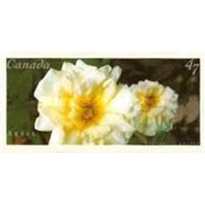 Canada     2001    47 cents  USED