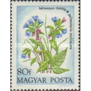 1973 80 f