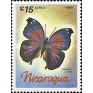 1986     15  Cordoba