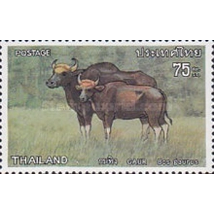 1975 Thailand 75 S used