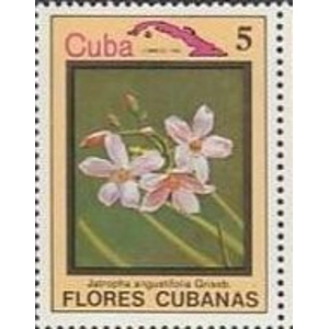 1983  Cuba  5 C  used