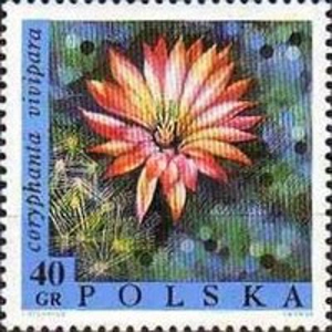 1968 40 gr