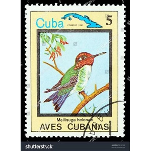 1983  Cuba   5 cent  used