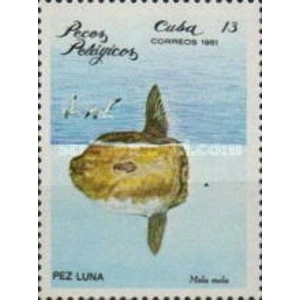 1981 Cuba 13 C used