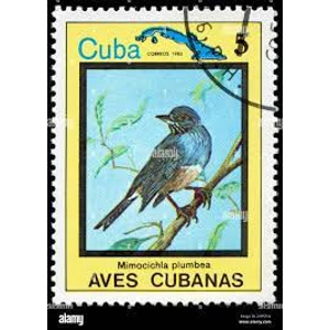 1983  Cuba 5 centavos  used