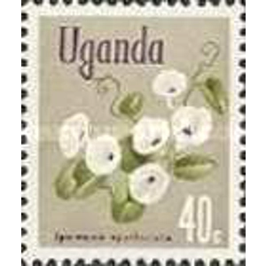 1969             40 C