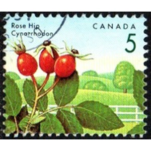 Canada     1992   5 Cents