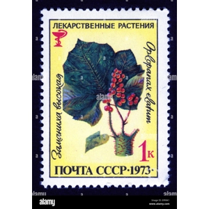 1973  Russia    1 K  used