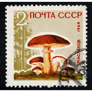 Russia    1964  2 K   USED