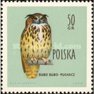 1960 50 gr