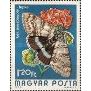 1974 1.20 ft