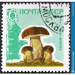 1961  Russia  6 K   USED