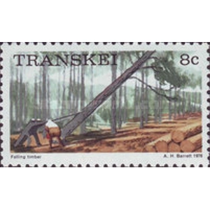 Transkei 1876 8 c