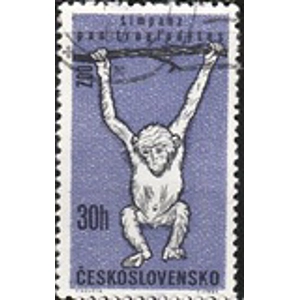 1962 Czechoslovakia 30 h