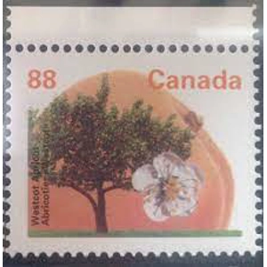 Canada    1994   88 c   USED