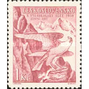 1938 1 kcs used