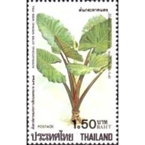 1984 Yjailand 1.50 B used