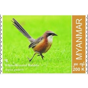 2022 Myanmar 200 K used