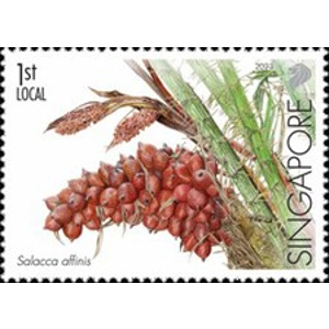 2023 Singapore 1 st used