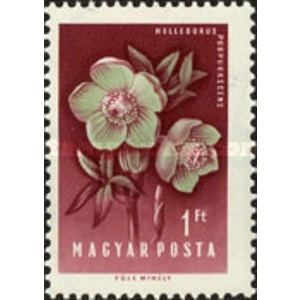 1958 1 ft