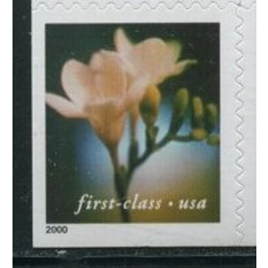 USA 2000 First Class used