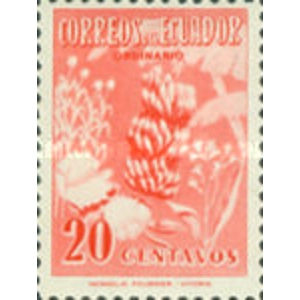 1954 20 c