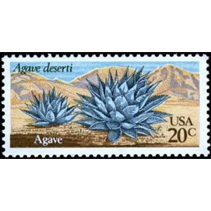 1981  USA   20 cents used