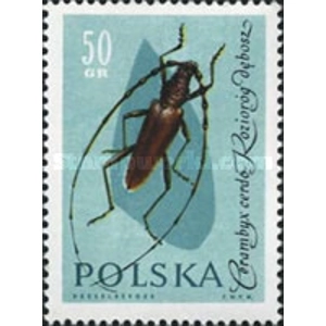 1961, 50 Gr