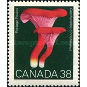 Canada 1989 38 cents USED