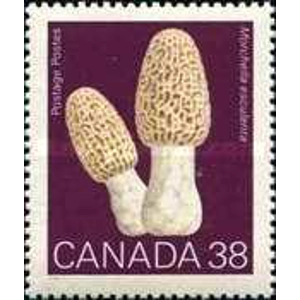 Canada 1989 38 C