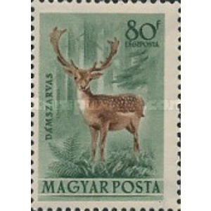 1953 80 F