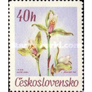 1967 Czechoslovakia 40 Halera