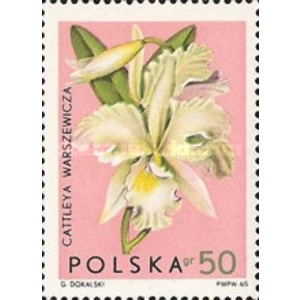 1965,,, 50 Gr