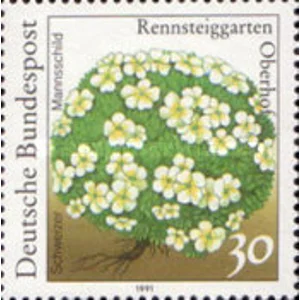 1991  Germany     30 pfg