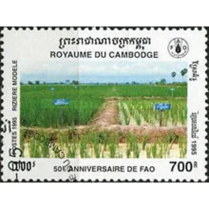 1995