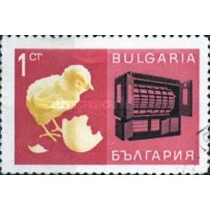 1967 1 ct