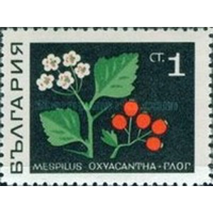 1969 1 ct