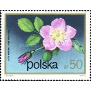 1972.... 50 Gr