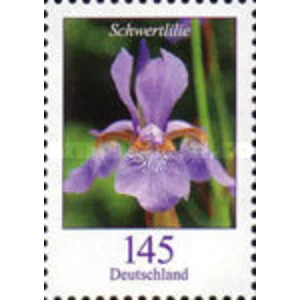 2006