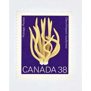 Canada 1989 38 c