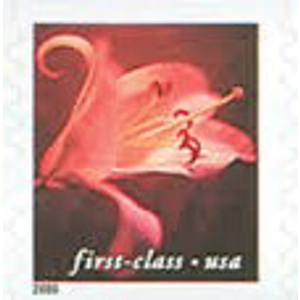 USA 2000 First Class