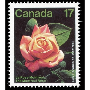 Canada 1981 Rose USED